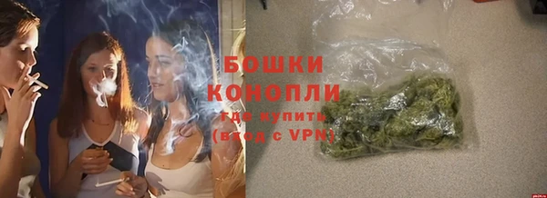дживик Баксан