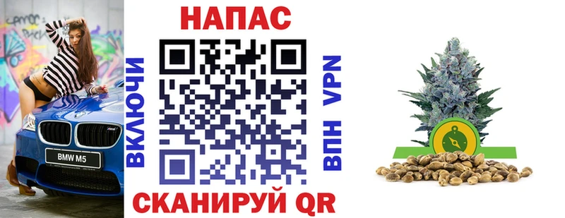 Бошки Шишки сатива  наркота  Чулым 